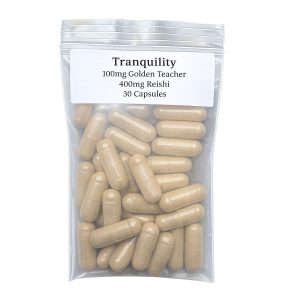 Tranquility microdose capsules featuring 100mg Golden Teacher and 400mg Reishi mushroom blend in a convenient capsule format