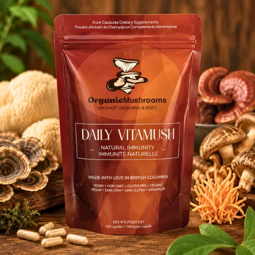 Premium Organic Turkey Tail Capsules 10:1 Extract | 120 Capsules