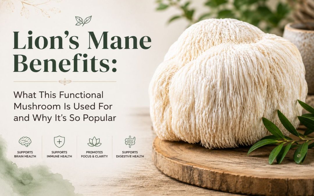 Lion’s Mane mushroom extract powder and capsules for focus, memory, cognitive support, and daily wellne