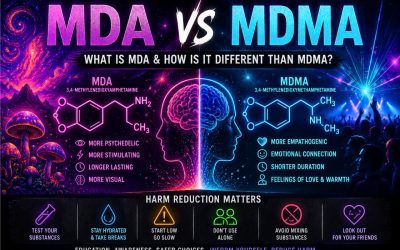 What Is MDA? MDA vs MDMA