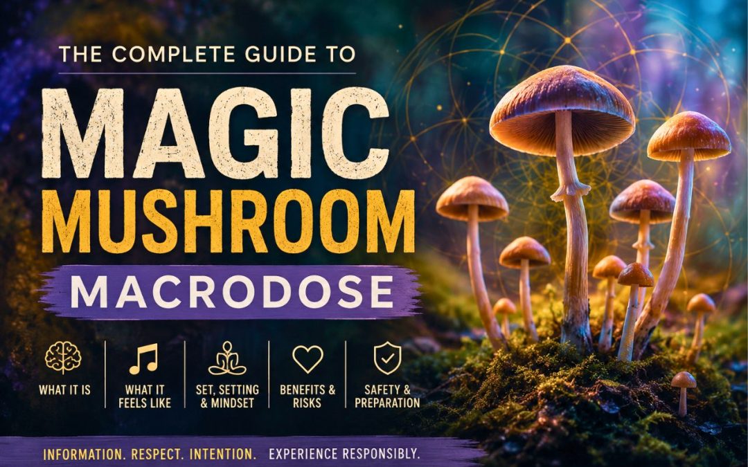 Magic mushrooms with soft music waves, glowing nature elements, and calm lighting representing a stronger psilocybin macrodose experience.