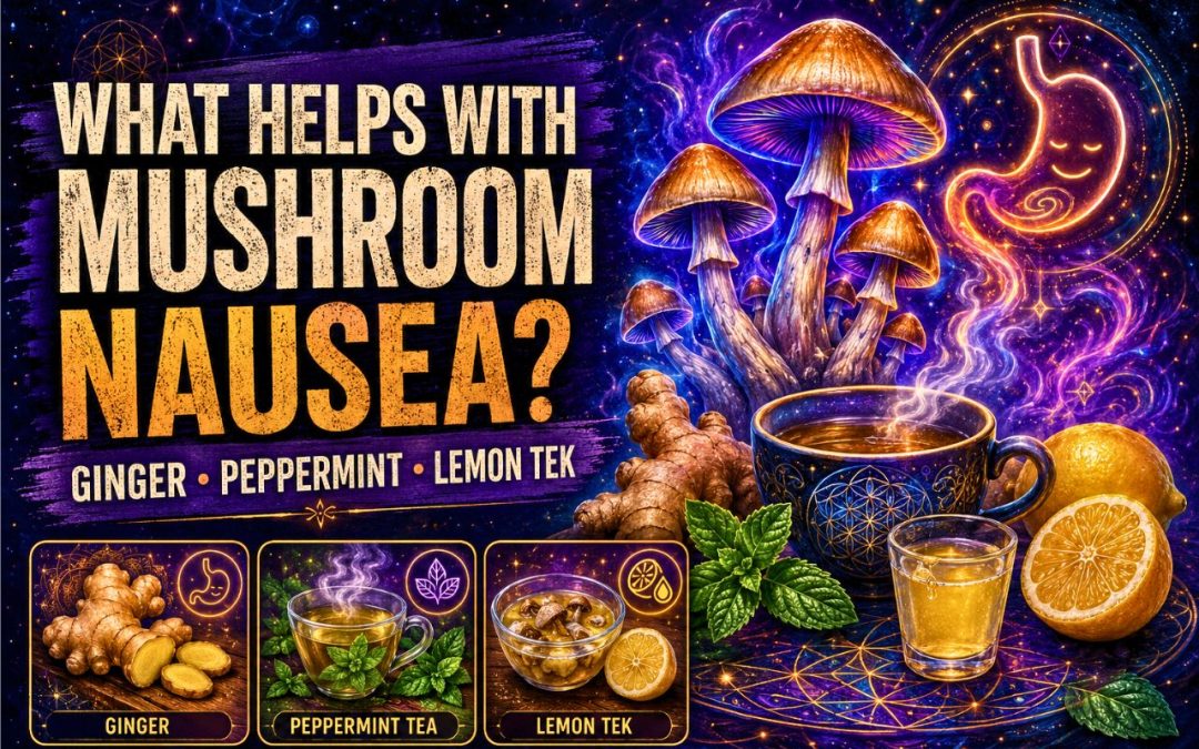 Psychedelic featured image for magic mushroom nausea showing ginger, peppermint tea, lemon tek, mushrooms, and a glowing stomach icon.