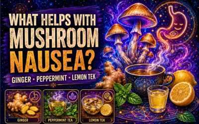 What Helps With Nausea From Magic Mushrooms? Stomach Tips and Why It Happens