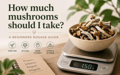 How Much Magic Mushrooms Should I Take? A Beginner’s Dosage Guide