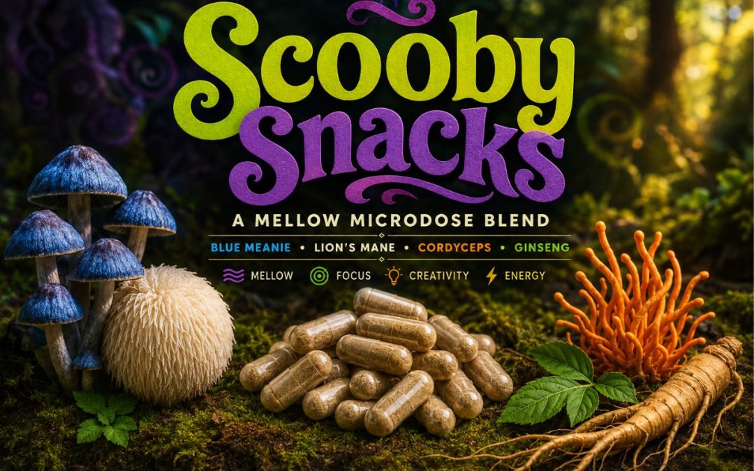 Scooby Snacks: Blue Meanie, Lion’s Mane, Cordyceps and Ginseng in One Unique Mushroom Blend