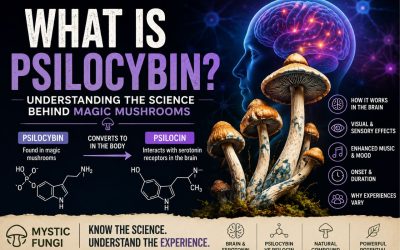 What Is Psilocybin and How Does It Work? Understanding the Science Behind Magic Mushrooms