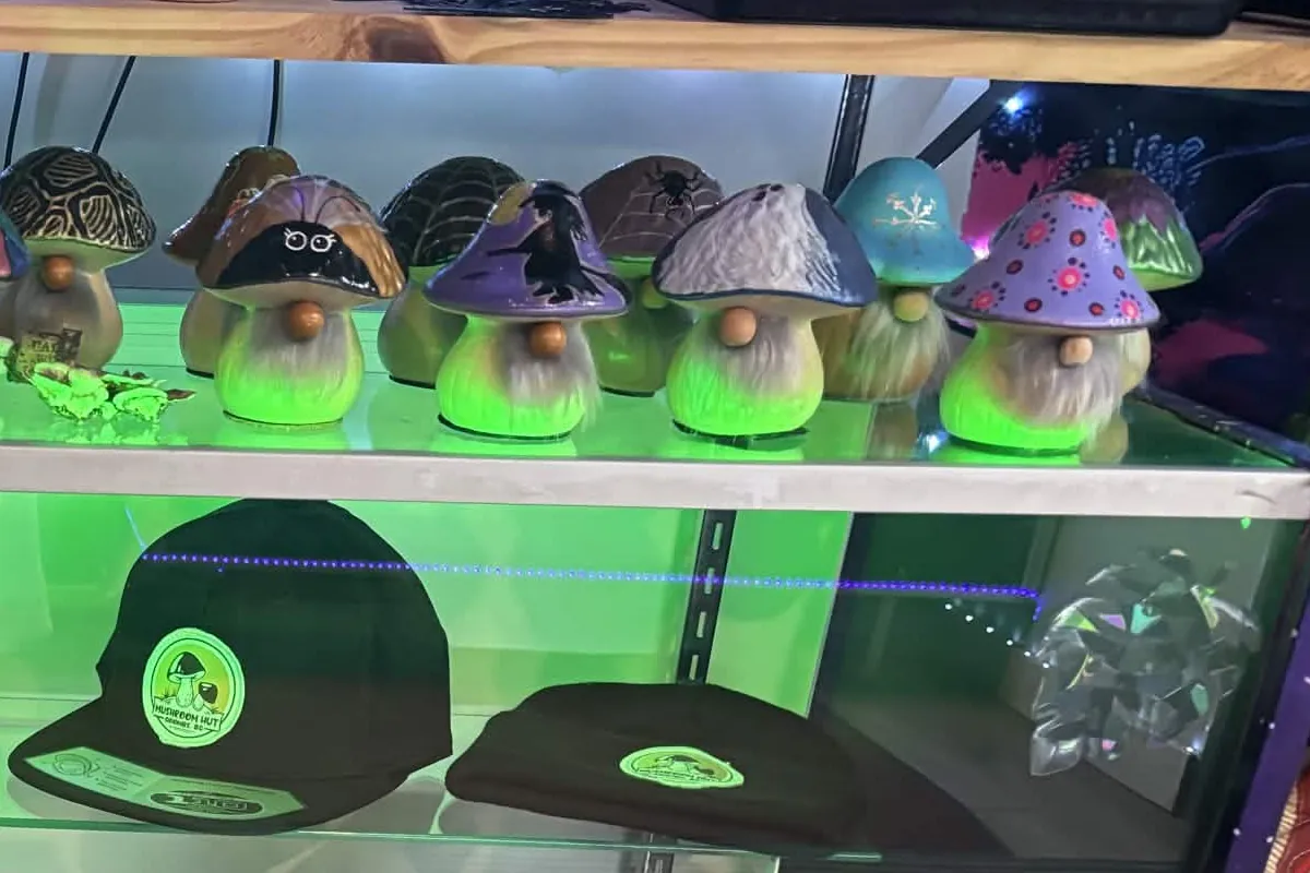 Mushroom gnomes, a Mushroom Hut hat and a touque in the display case